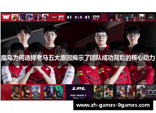 魔鸟为何选择老马五大原因揭示了团队成功背后的核心动力